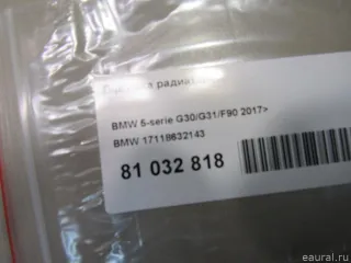 17118632143 BMW Подушка радиатора BMW 7 G11/G12 Арт E81032818, вид 5