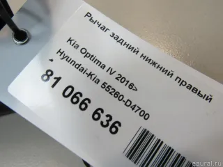 55260D4700 Hyundai-Kia Рычаг задний нижний правый Kia Optima 4 Арт E81066636, вид 8