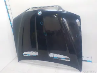 41617121102 BMW Капот BMW X5 E53 Арт E41230760, вид 2