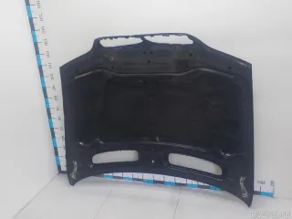 41617121102 BMW Капот BMW X5 E53 Арт E41230760, вид 10