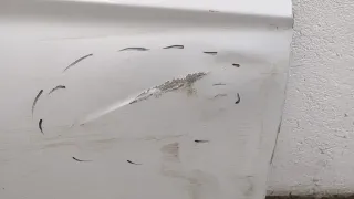 39028990,39066398,39086248 Дверь передняя правая белая Opel Astra K Арт 20305850, вид 2