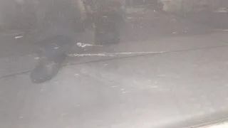 H210M1MAMB Дверь задняя правая серая Infiniti Q70 1 restailing Арт 9284023, вид 4