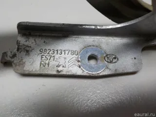 9823131780 Citroen-Peugeot Петля капота правая Peugeot Traveller Арт E52543965, вид 4