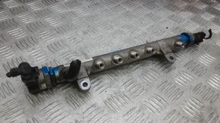 03L130089 Топливная рампа дизельная Volkswagen Golf 6 Арт BGM05BB01, вид 1