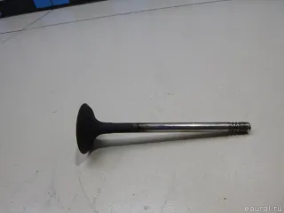 03F109611C VAG Клапан выпускной Audi A3 8P Арт E48441181, вид 2