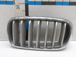 51117303107 Решетка радиатора BMW X5 F15 Арт 776939