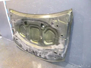 651000987R Renault Капот Renault Duster 2 Арт E103101852, вид 9