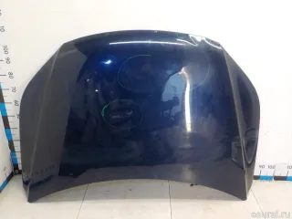 5N0823031D VAG Капот Volkswagen Tiguan 1 Арт E70800590, вид 1