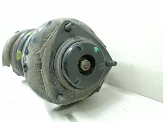 55302-EQ000 Пружина задняя левая Nissan X-Trail T30 Арт 2095584-2, вид 2