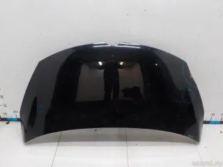 20895443 GM Капот Opel Zafira C Арт E41163530, вид 1