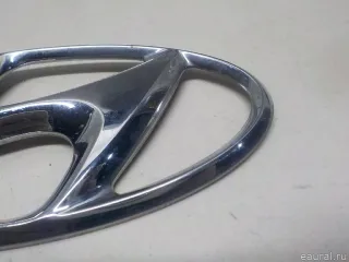 863002B100 Hyundai-Kia Эмблема Hyundai Santa FE 4 (TM) restailing Арт E52510056, вид 2
