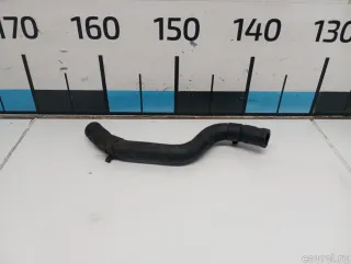 575803K200 Hyundai-Kia Шланг гидроусилителя (ГУР) Hyundai Grandeur HG restailing Арт E31570904, вид 2