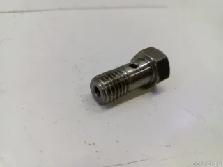 2114084460 Hyundai-Kia Болт полый Hyundai HD Арт E36252840, вид 2
