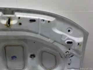 651000987R Renault Капот Renault Duster 2 Арт E52566685, вид 13