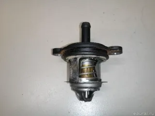 1877090 Ford Термостат Ford Focus 3 restailing Арт E23234971