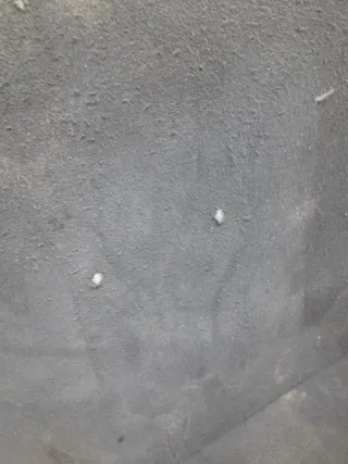 6477033160C1 Пол багажника Toyota Camry XV30 Арт lz237468, вид 3