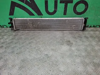 J601119610, 302000723AA, 7 интеркулер Chery Tiggo 7 PRO Арт 373894RM, вид 1
