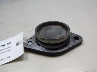 MD303738 Mitsubishi Заглушка Mitsubishi L200 5 Арт E48609733, вид 1