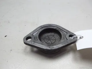 MD303738 Mitsubishi Заглушка Mitsubishi L200 5 Арт E48609733, вид 4