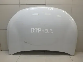 509000735AADYJ Капот EXEED TXL Restailing Арт AM23506340
