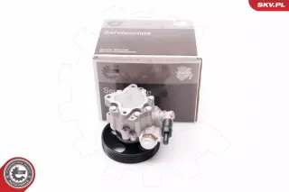10SKV197 Насос ГУР Citroen jumpy 1 Арт AL15058793275, вид 1