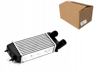 009-018-0008 Интеркулер Citroen C2  Арт AL15135479159, вид 1