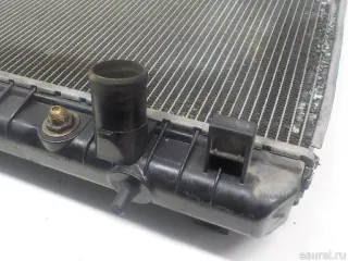 253104D300 Hyundai-Kia Радиатор основной Kia Carnival 2 Арт E52564846, вид 5