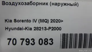 28213P2000 Hyundai-Kia Воздухозаборник Kia Carnival 4 Арт E70793083, вид 8