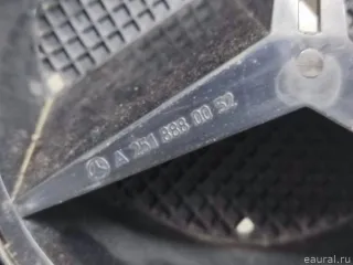 2518801283 Mercedes Benz Решетка радиатора Mercedes R W251 Арт E103108322, вид 2