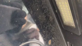 41627262544,7262544 Крышка багажника (дверь 3-5) BMW X5 E70 Арт 9216672, вид 4