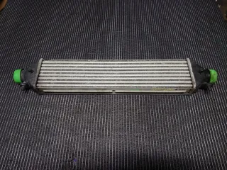 896255500 Интеркулер Fiat Doblo 2 Арт e5310238, вид 1