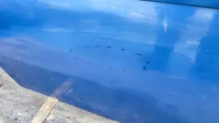 93175840 124608 Дверь задняя правая Opel Vectra C  Арт e6275897, вид 4