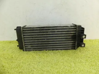 9800291280 Интеркулер Citroen C4 2 Арт e7024301, вид 1