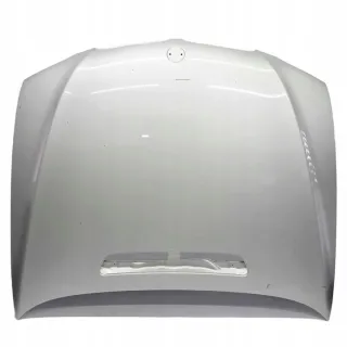 41617200442-4 41617200442 41617138471 7200442-TS Капот BMW X5 E70 Арт e7366502, вид 1