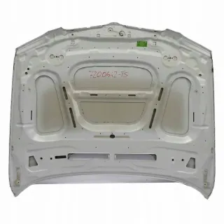 41617200442-4 41617200442 41617138471 7200442-TS Капот BMW X5 E70 Арт e7366502, вид 11