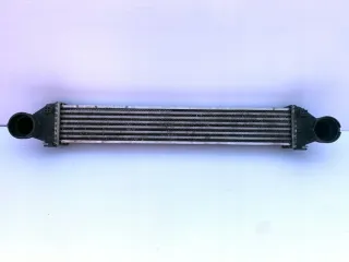 A1695000900 Интеркулер Mercedes A W169 Арт e7528333, вид 1