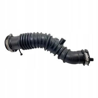 165750001R Гофра инжектора Renault Megane 3 Арт e8316832, вид 1