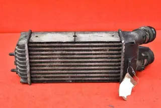 9645965180 Интеркулер Citroen Berlingo 1 Арт e8363136, вид 6