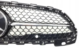 A2068882100 Решетка радиатора BMW X1 E84 Арт e8398246, вид 4