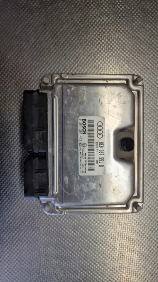 8E0907551B Блок управления двигателем Audi A4 B6 Арт e8423650, вид 1