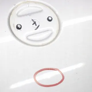 41617111385-4 41617111385 7111385-TS2 Капот BMW 5 E60/E61 Арт e8506618, вид 12