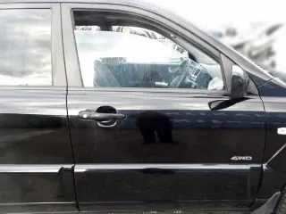 F2764856 Дверь передняя правая Kia Sportage 2 Арт e9073611, вид 1