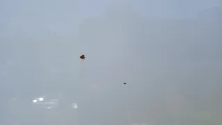  Дверь передняя правая MINI Cooper R56 Арт e9113404, вид 12