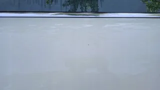  Дверь передняя правая MINI Cooper R56 Арт e9113404, вид 9