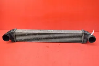 A1695000000 Интеркулер Mercedes A W169 Арт e9210758, вид 1