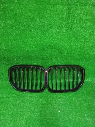 7454887 Решетка радиатора BMW X5 G05  Арт e9493210, вид 1