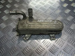 038131513AD Радиатор EGR Seat Leon 2 Арт e9581168, вид 1