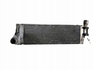 8200115540C Интеркулер Renault Megane 2 Арт e9615616, вид 1
