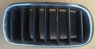 7316076 Решетка радиатора BMW X5 F15 Арт e9625185, вид 1