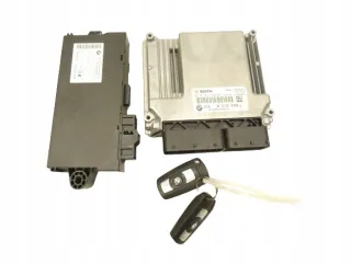 0281017550 DDE8512498-01 Блок управления двигателем BMW X1 E84 Арт e9730034, вид 1